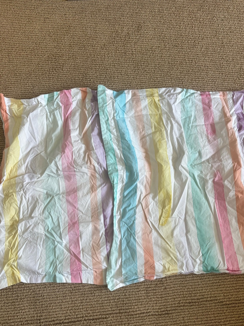 Pottery barn kids Kayla watercolor pillow shams